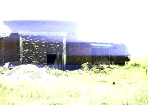 Прайм (2025) Фильм DVD  # 211